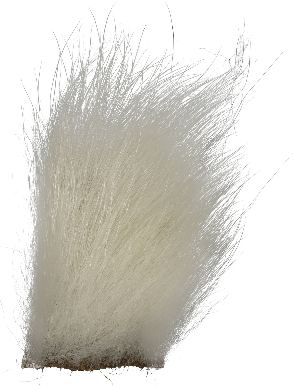 Polar Bear White Medium