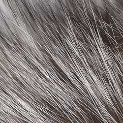 Silver Fox - 2x2