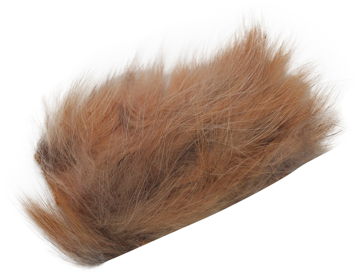 Red Fox - 2x3
