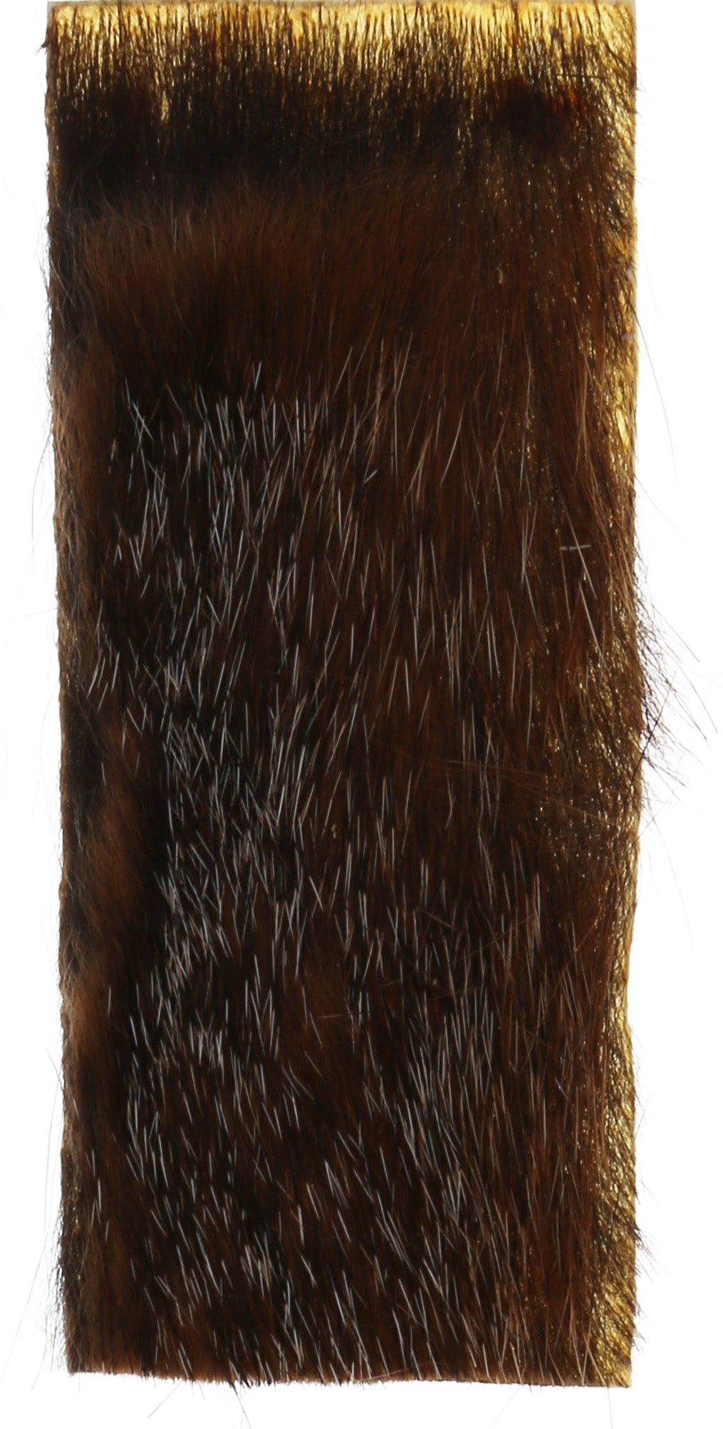 Groundhog - 2x3