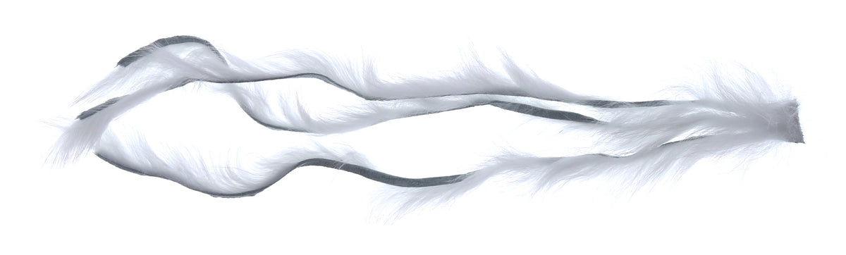 Rabbit Strip