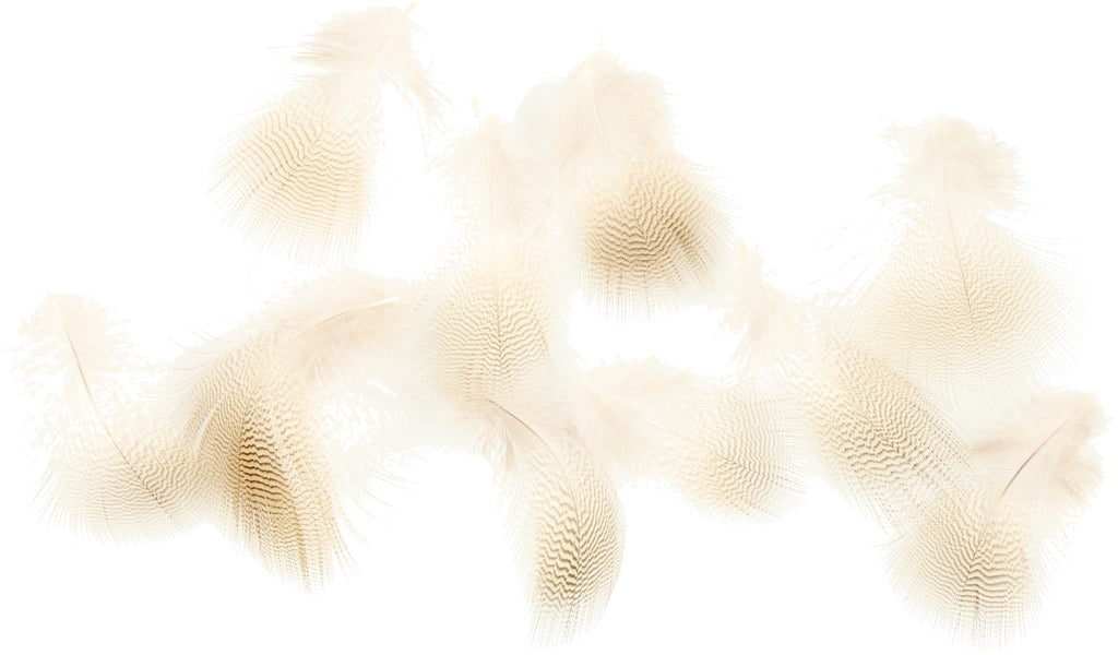 Woodduck Lemon Feather