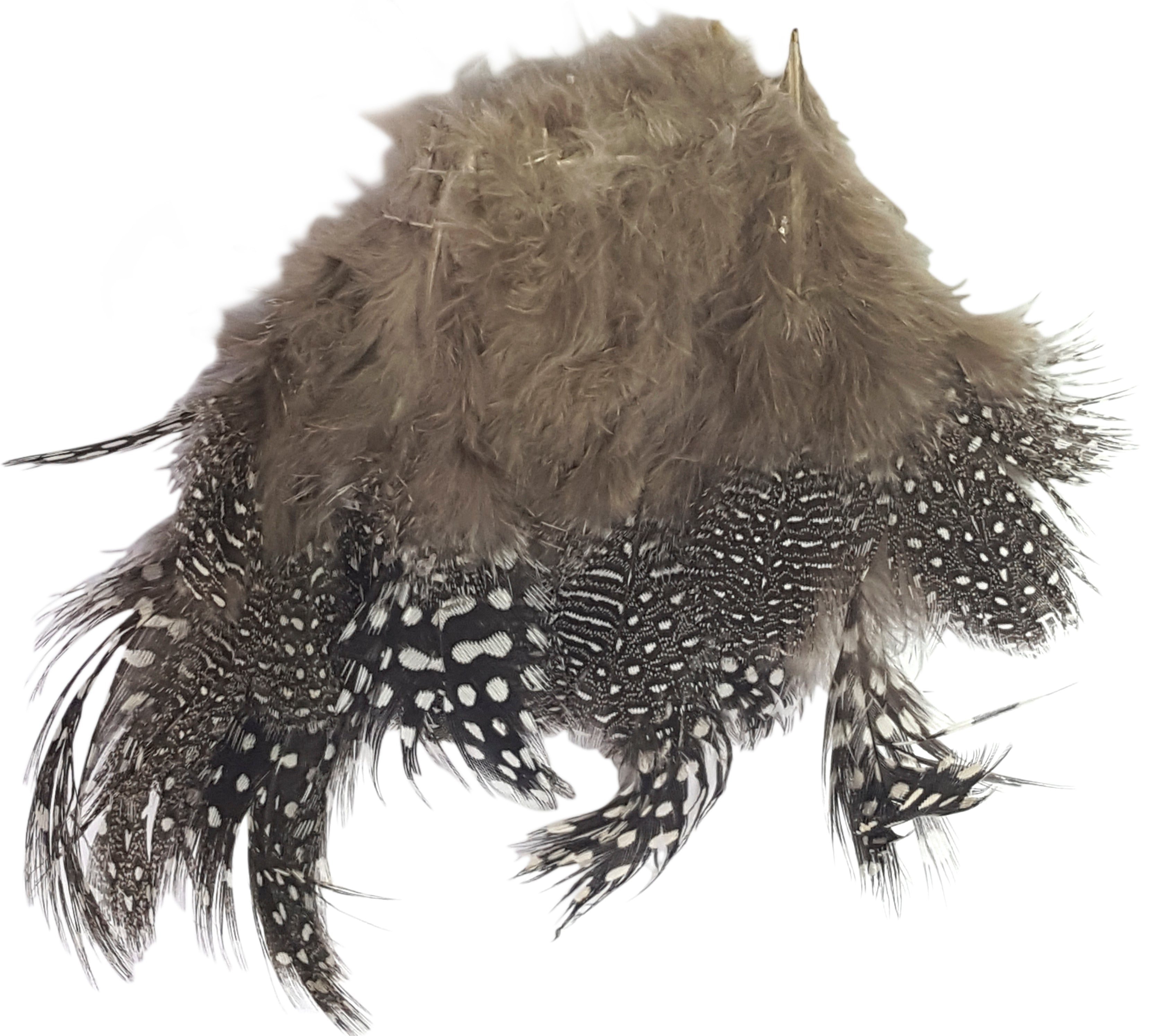 Strung Guinea Feather Natural 1/8 oz