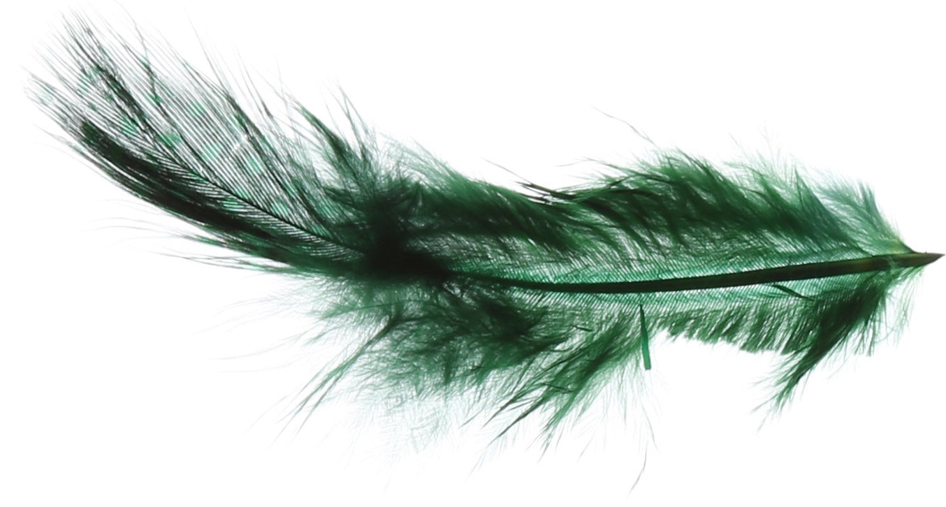 Guinea Fowl Strung-dot