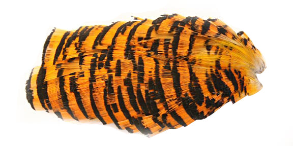 Golden Pheasant Tippet #1