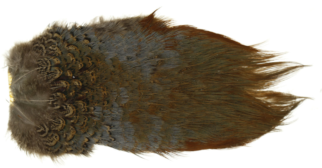 Ringneck Pheasant Rump Patch