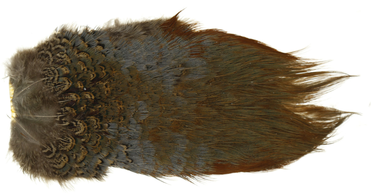 Ringneck Pheasant Rump Patch