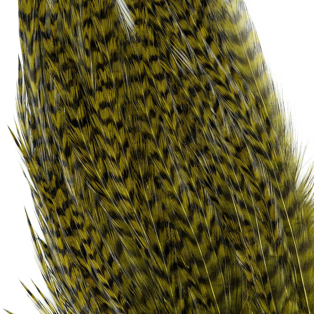 Bugger Pack Feathers