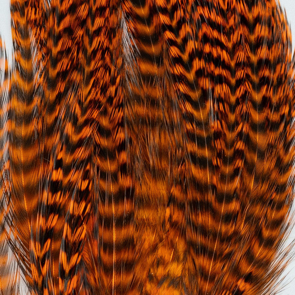 Bugger Pack Feathers