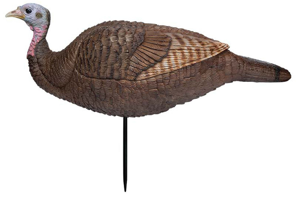 Lil' Gobstopper Hen and Turkey Decoy 