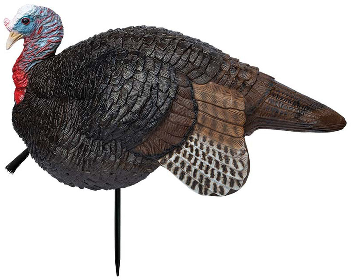 Lil' Gobbstopper Jake Turkey Decoy