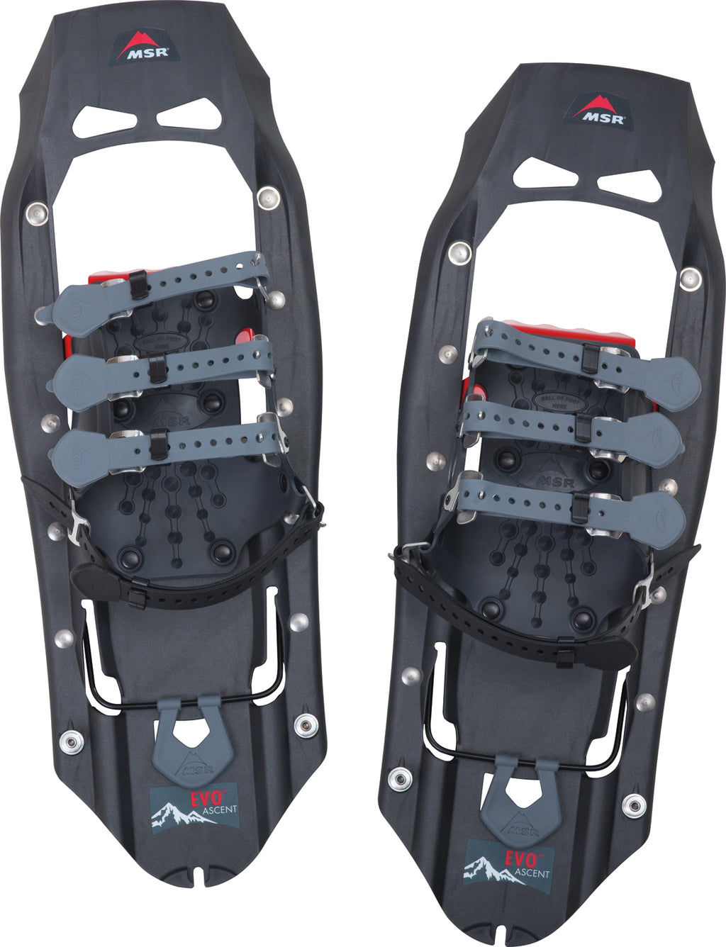 Evo Ascent Snowshoes - Unisex