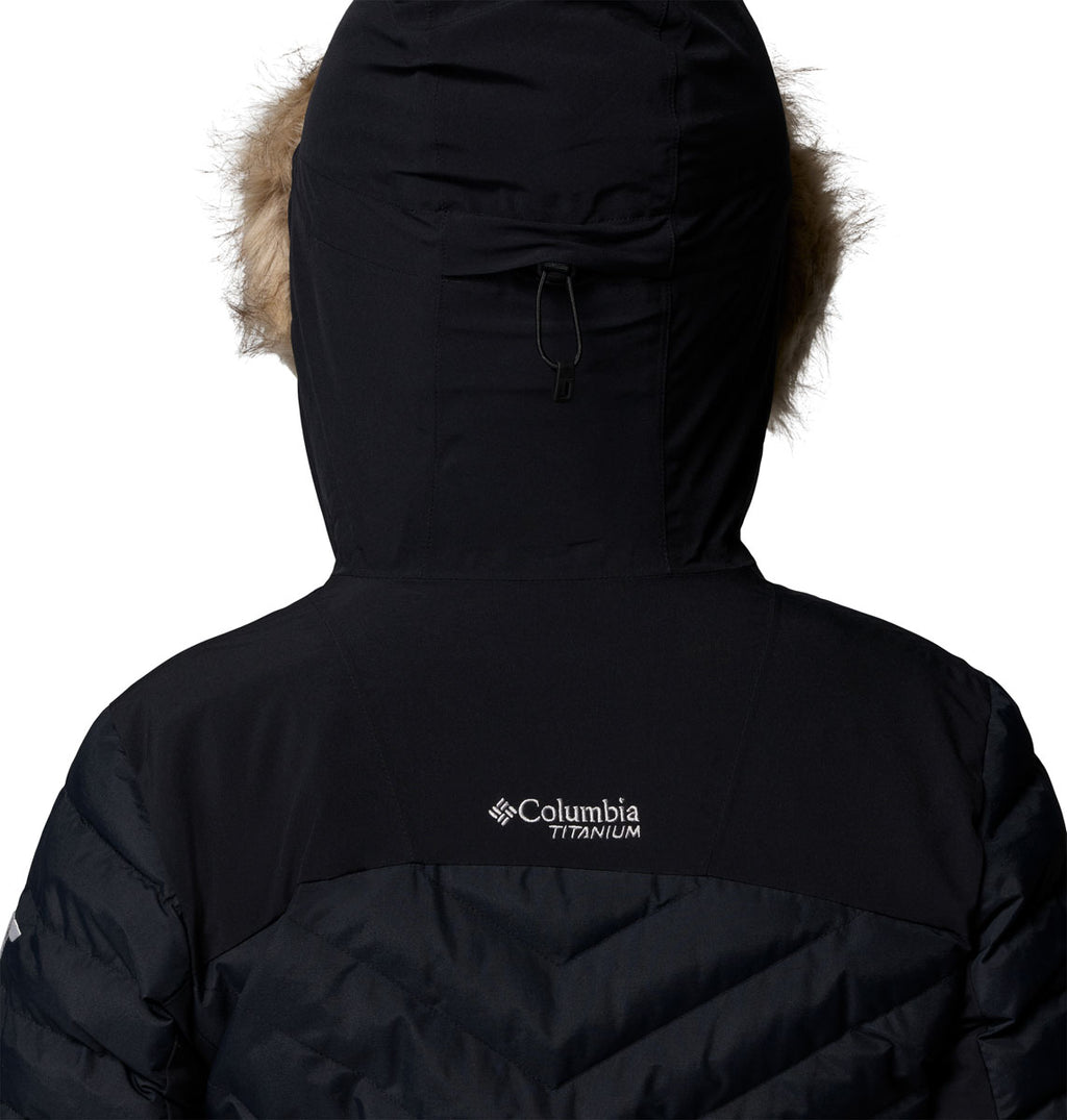 Bird Mountain III Ski Jacket - Women's