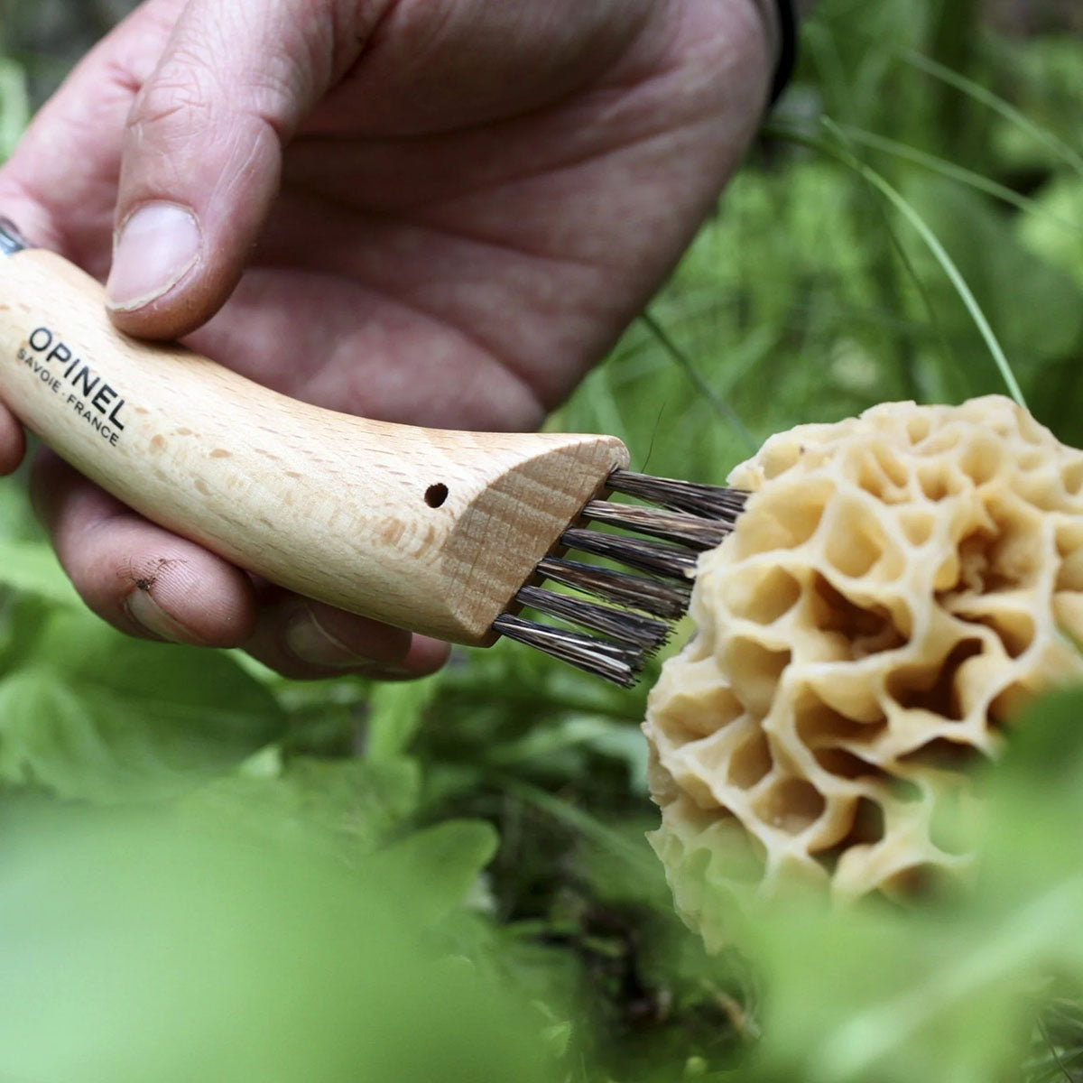 N°08 Mushroom Fixed-Blade Knife