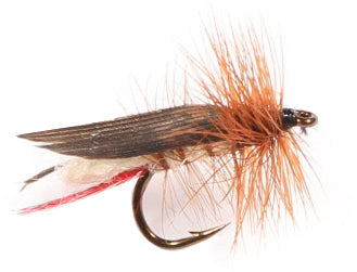 Joliette Hopper Dry Fly - H10