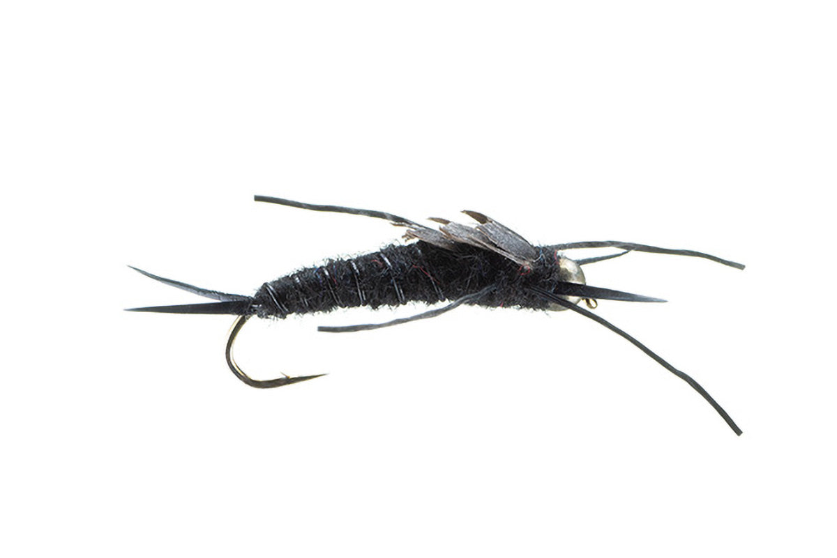 BH Rl Stone Fly