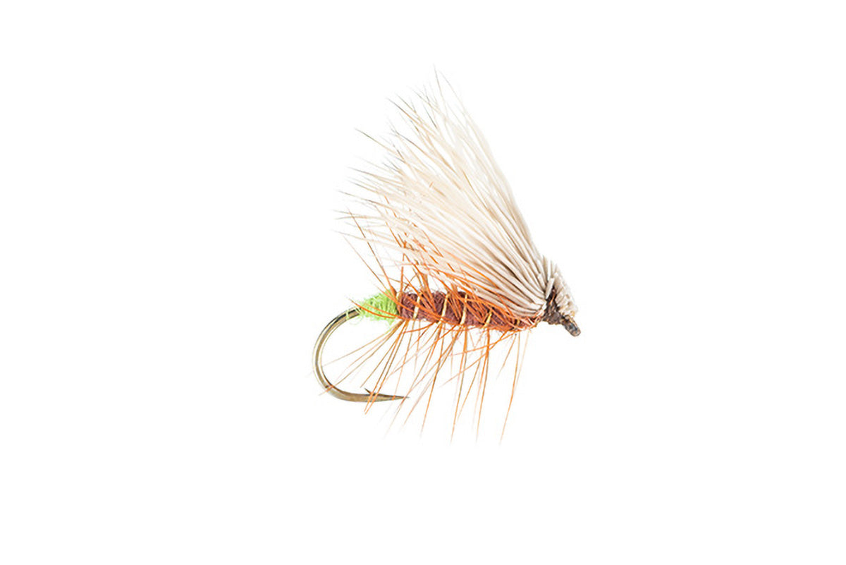 Elk Hair Caddis Fly