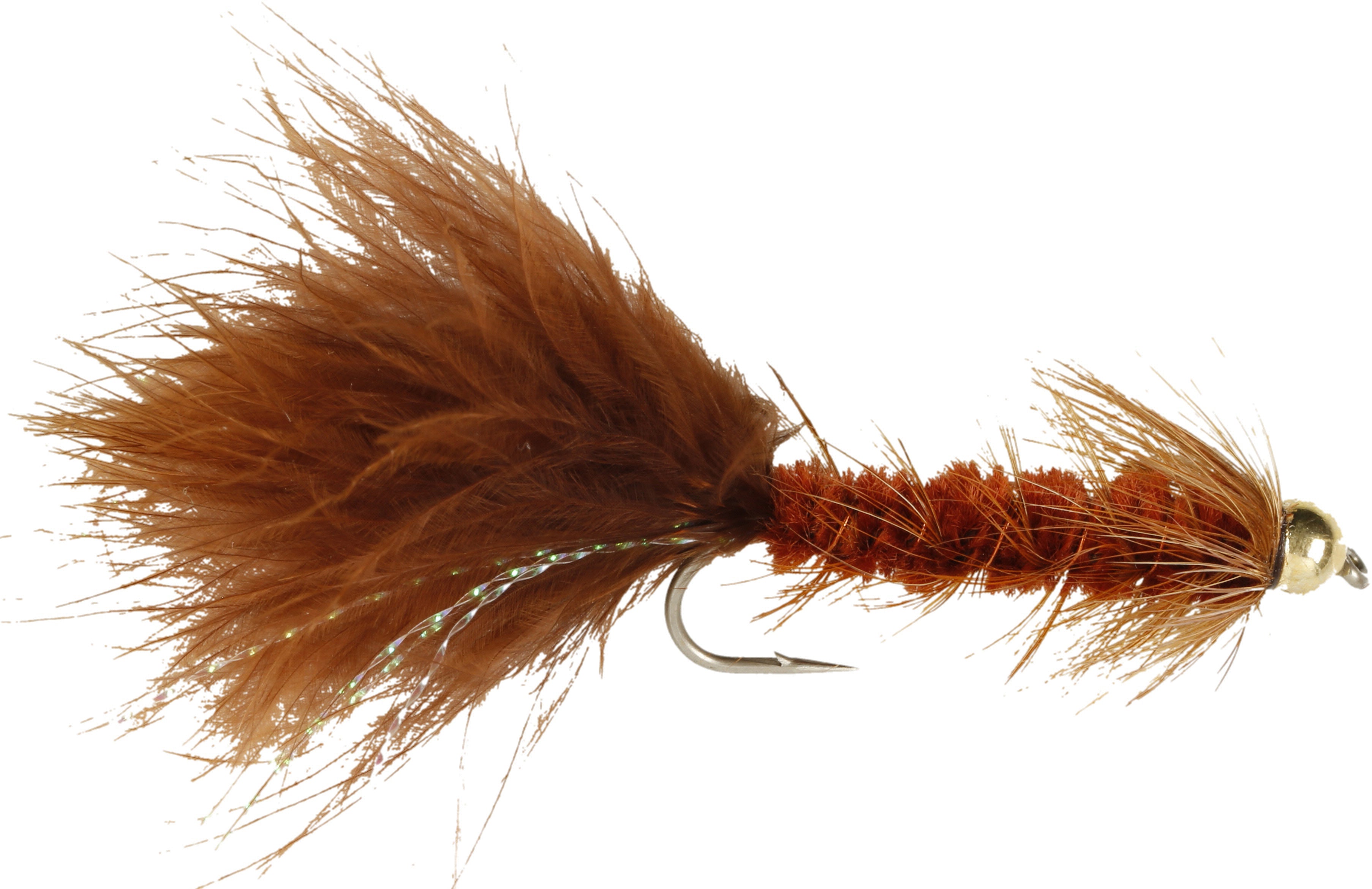 BH Woolly Bugger Fly