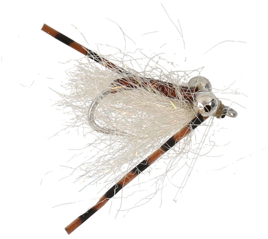 Sexy Charlie Fly