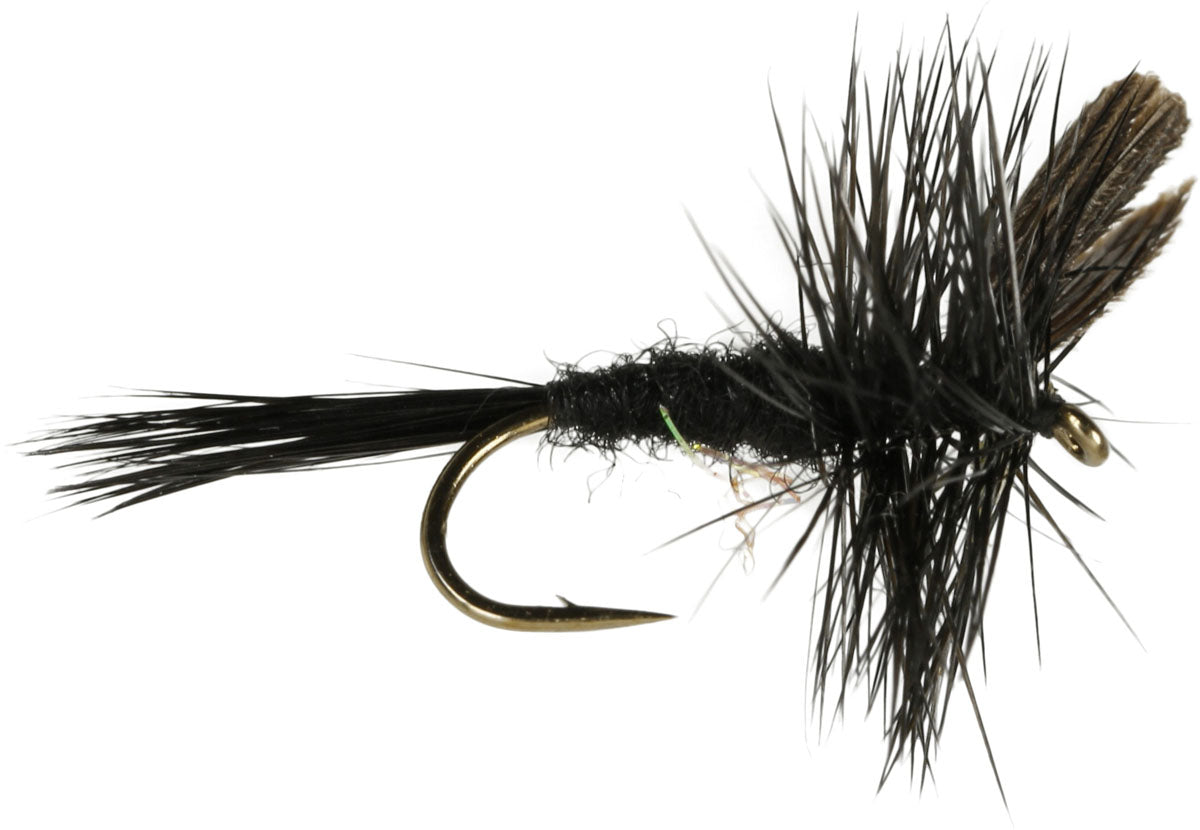 Black Gnat Fly