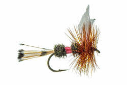 Royal Coachman Fly