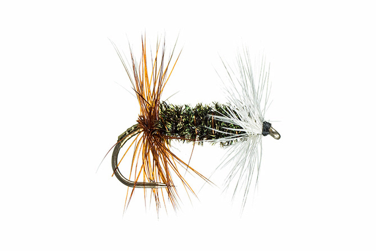 Renegade Fly