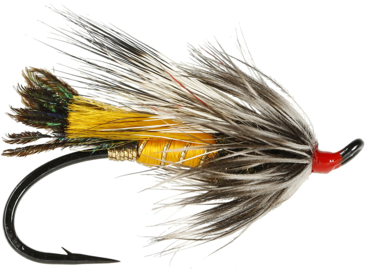 Rusty Rat Fly