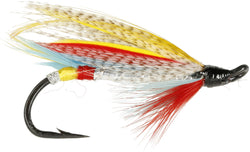 Silver Doctor Fly