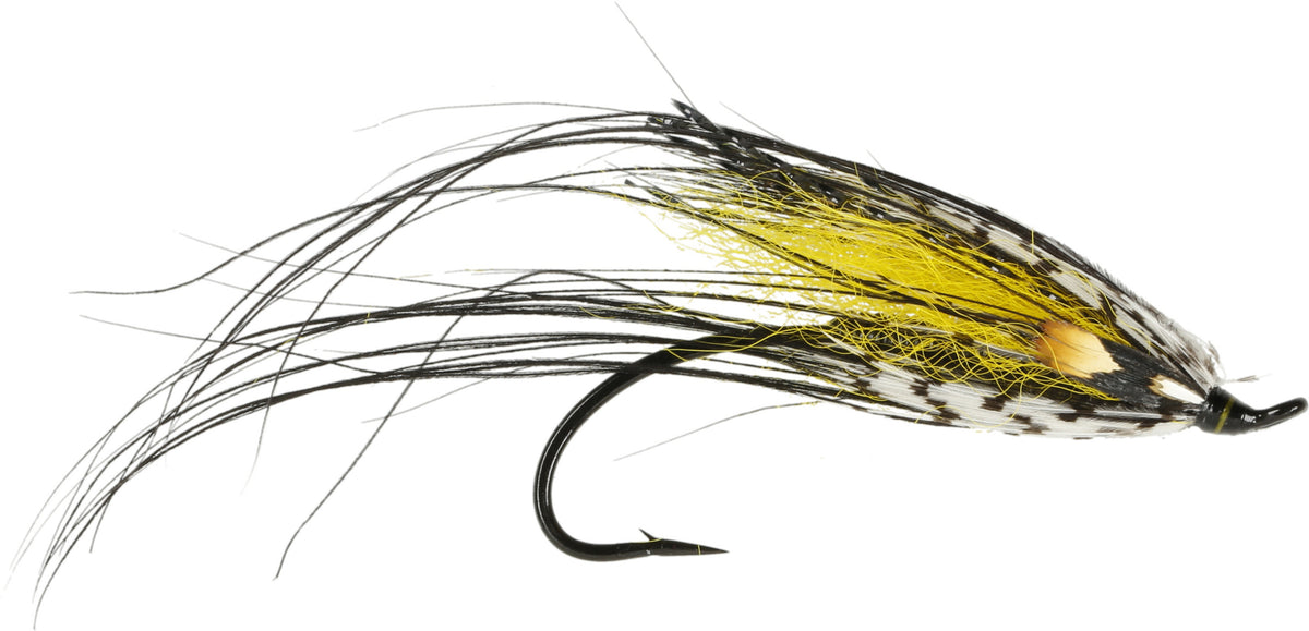 Picasse Spey Fly