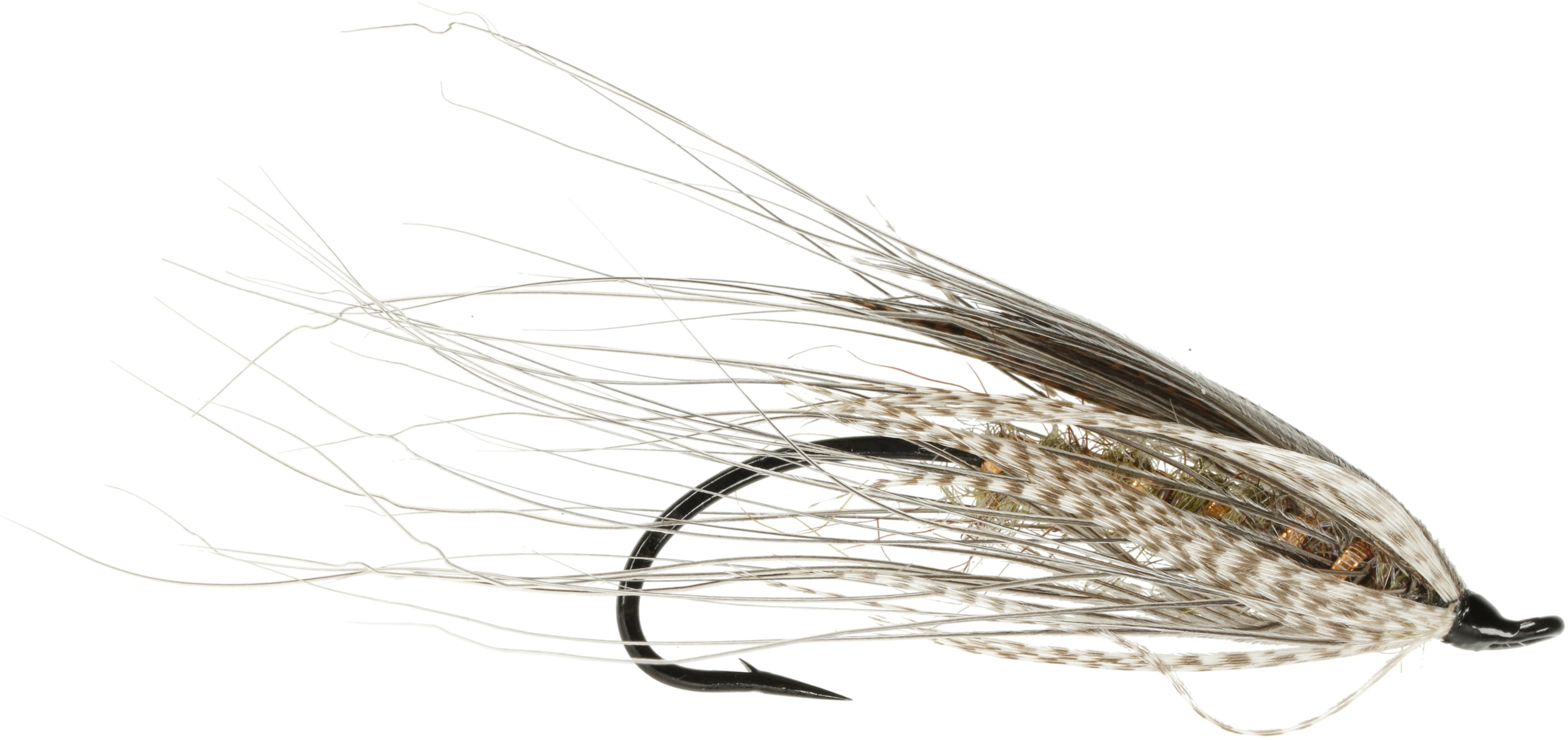 March Fly