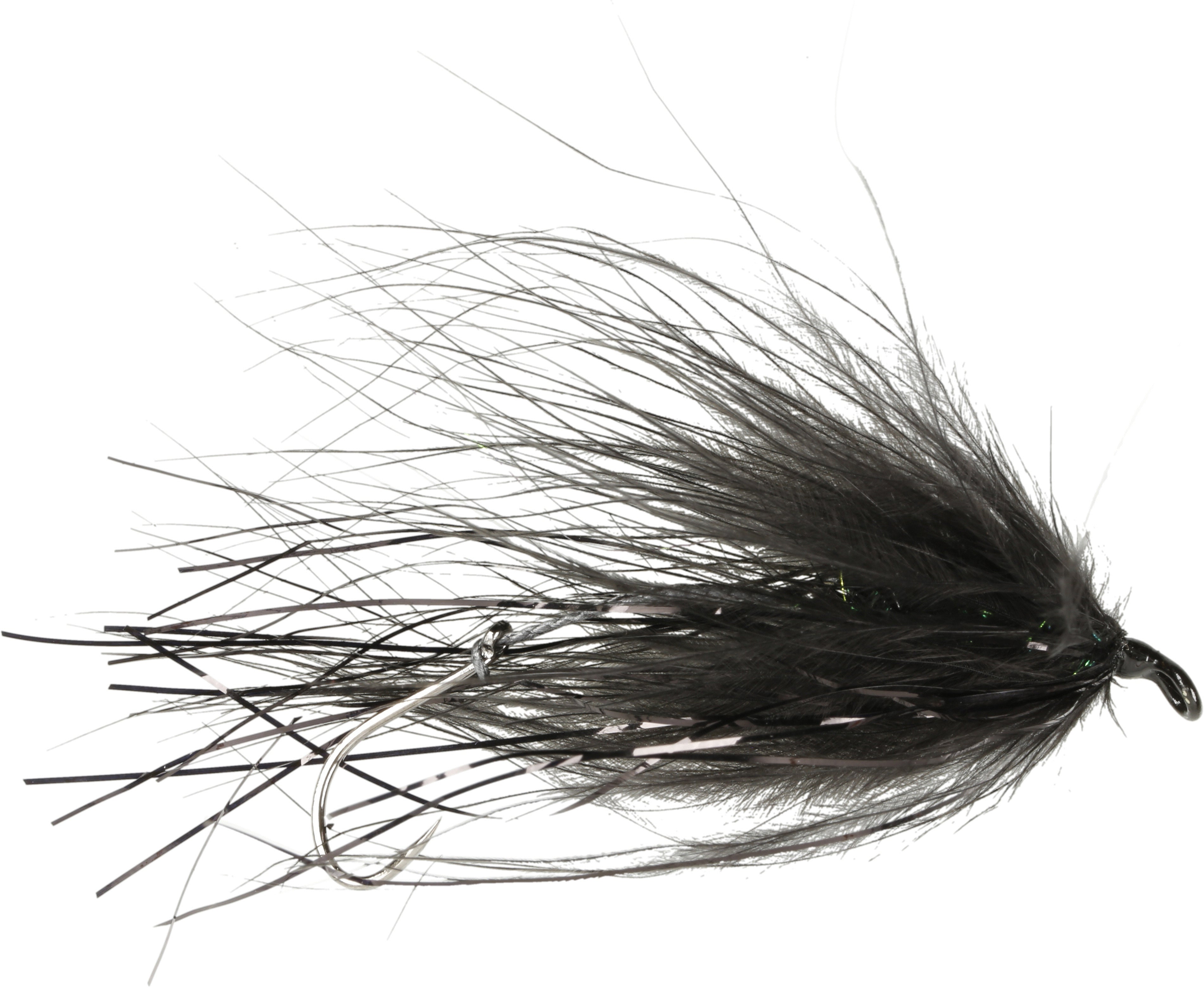 Black Intruder Leech Fly