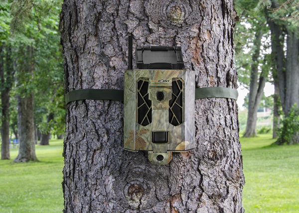 All-Steel Game Camera Security Box