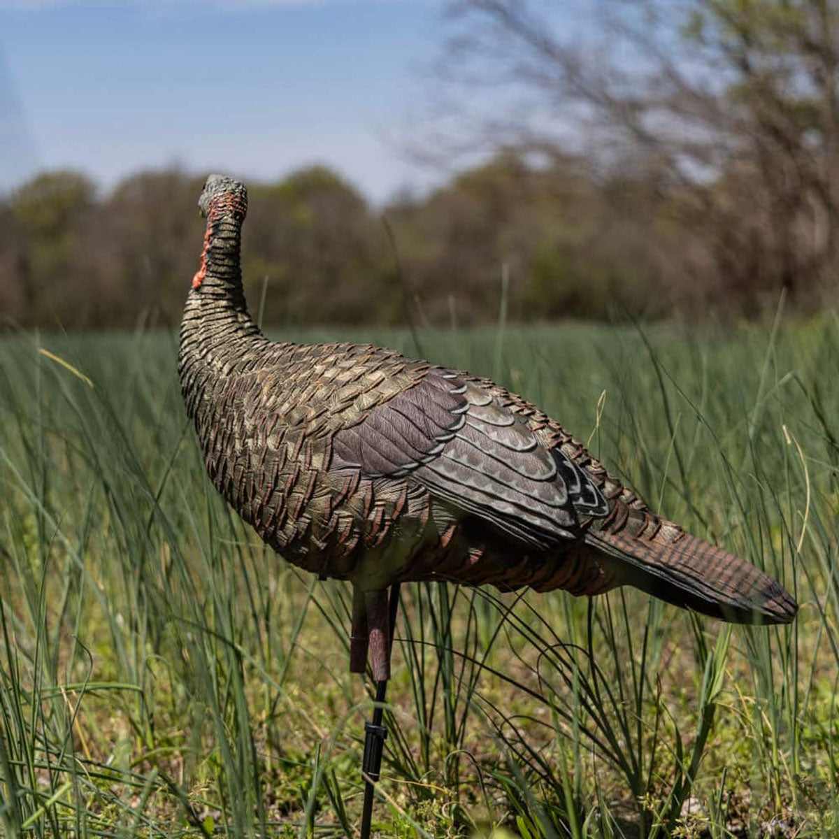 LCD Lookout Decoy - Hen 