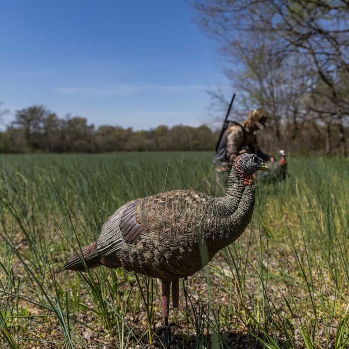LCD Breeder Decoy - Hen