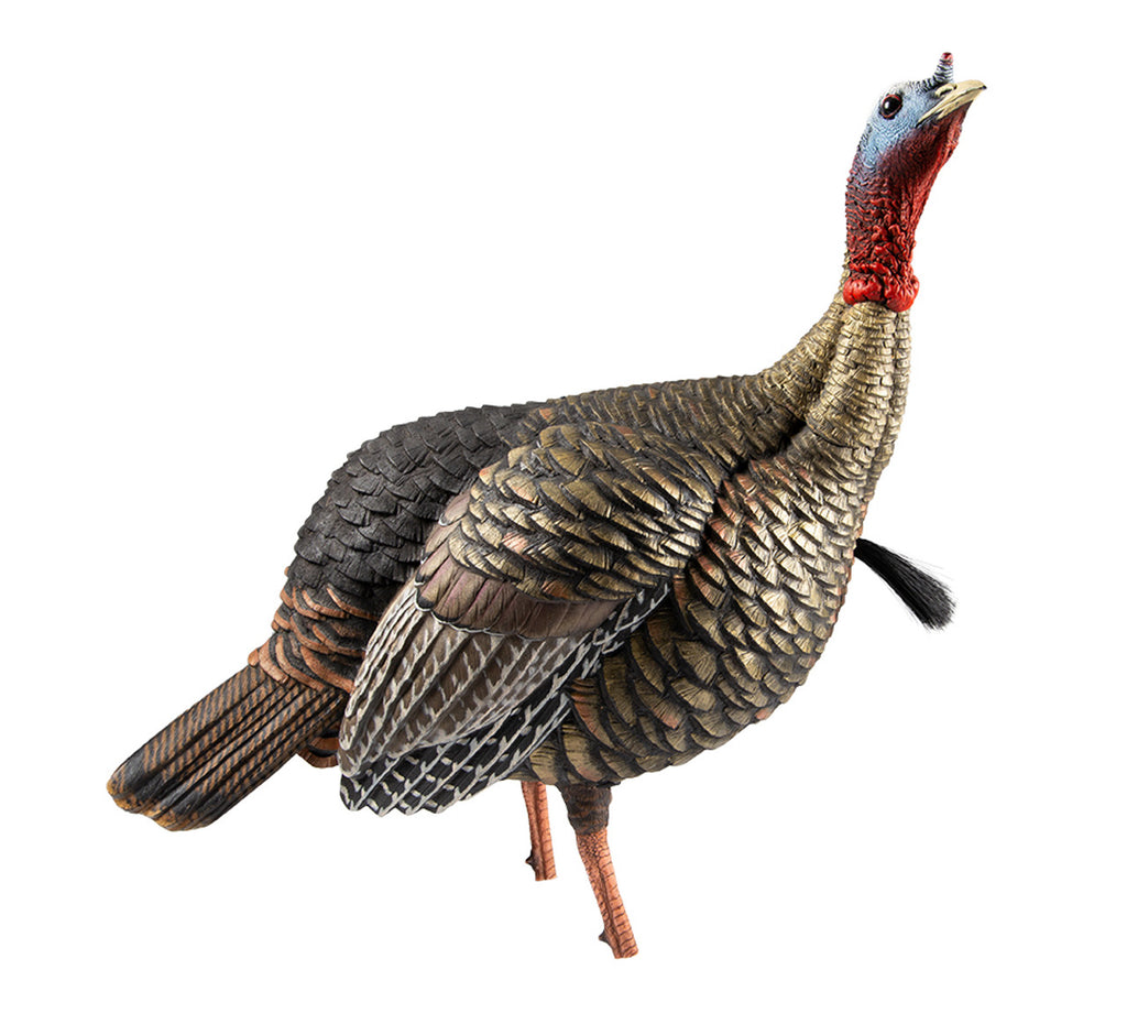 HDR Jake Full Body Decoy