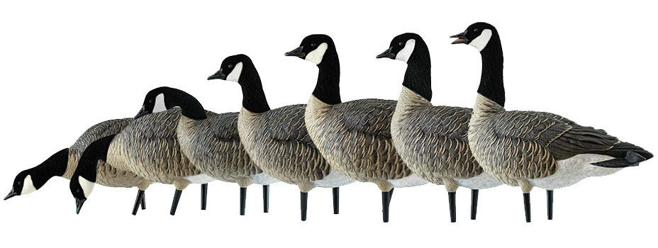 AXF Lessers Outfitter Decoy Pack