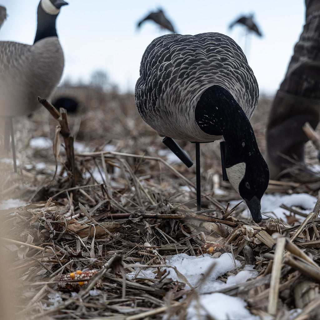 AXF Lessers Outfitter Decoy Pack