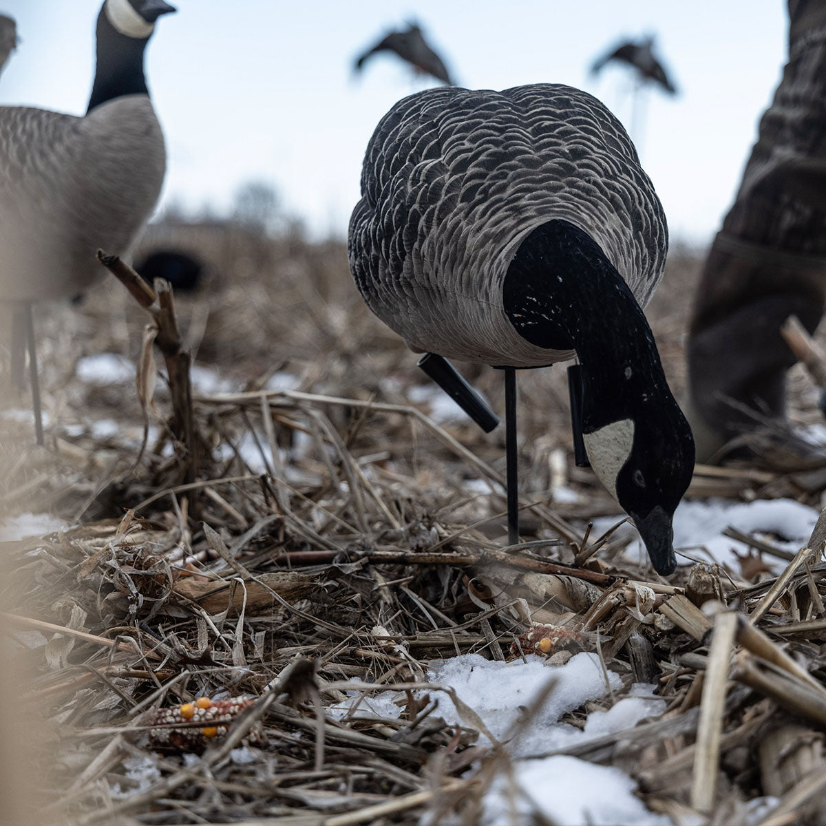 AXF Lessers Outfitter Decoy Pack