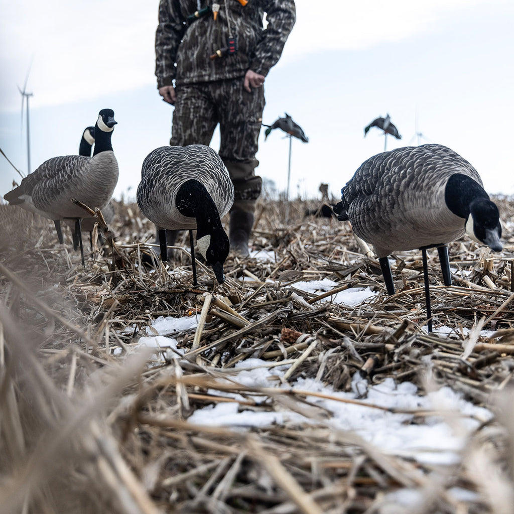 AXF Lessers Outfitter Decoy Pack