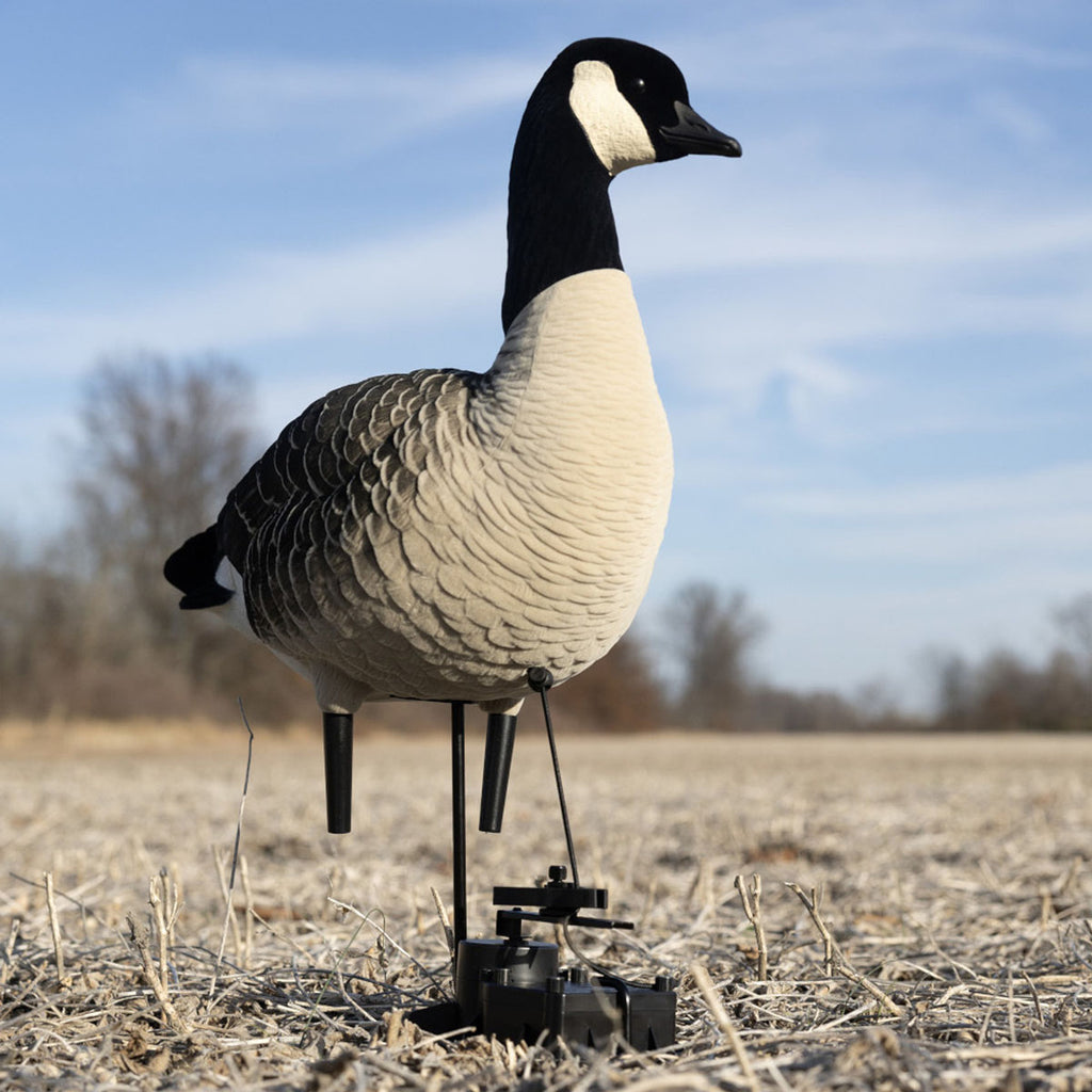 X-Factor Decoy Motion System