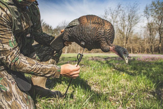 Thunder Chick Feeding Hen Decoy