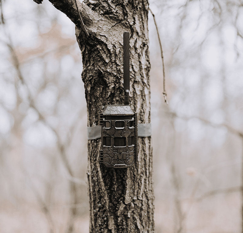 Trifecta 180 Hunting Camera