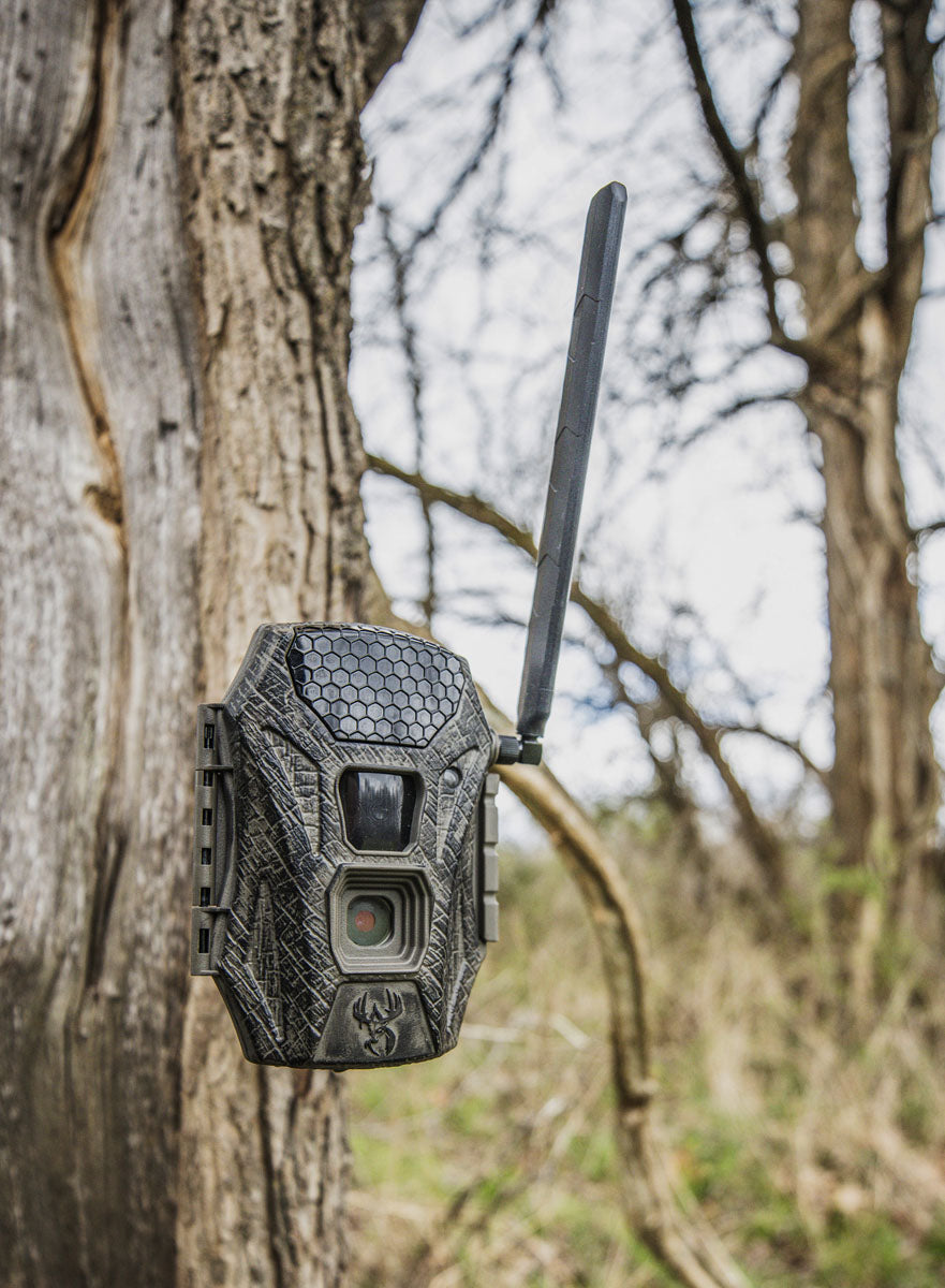 Terra Cell Hunting Camera