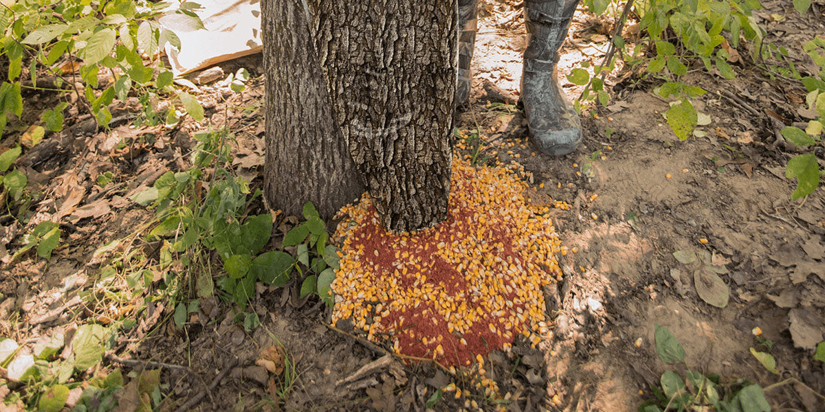 Treehugger Trubark HD Feeder