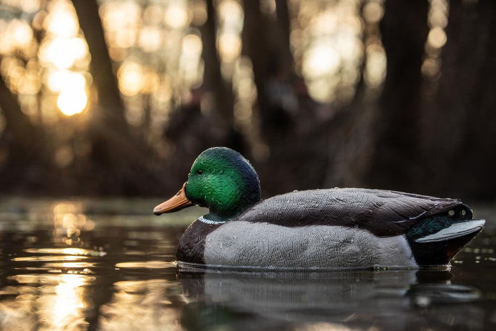 Mallard Floating Decoys - 6/PK