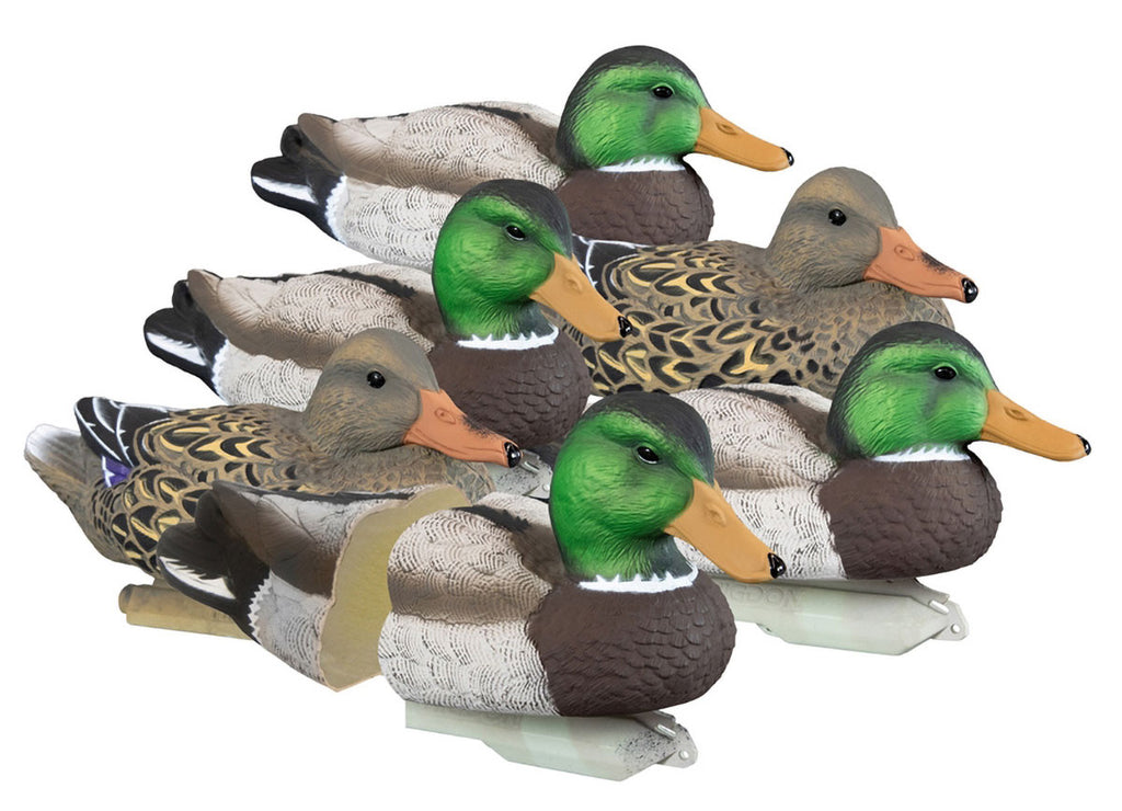 Standard Mallard Decoy