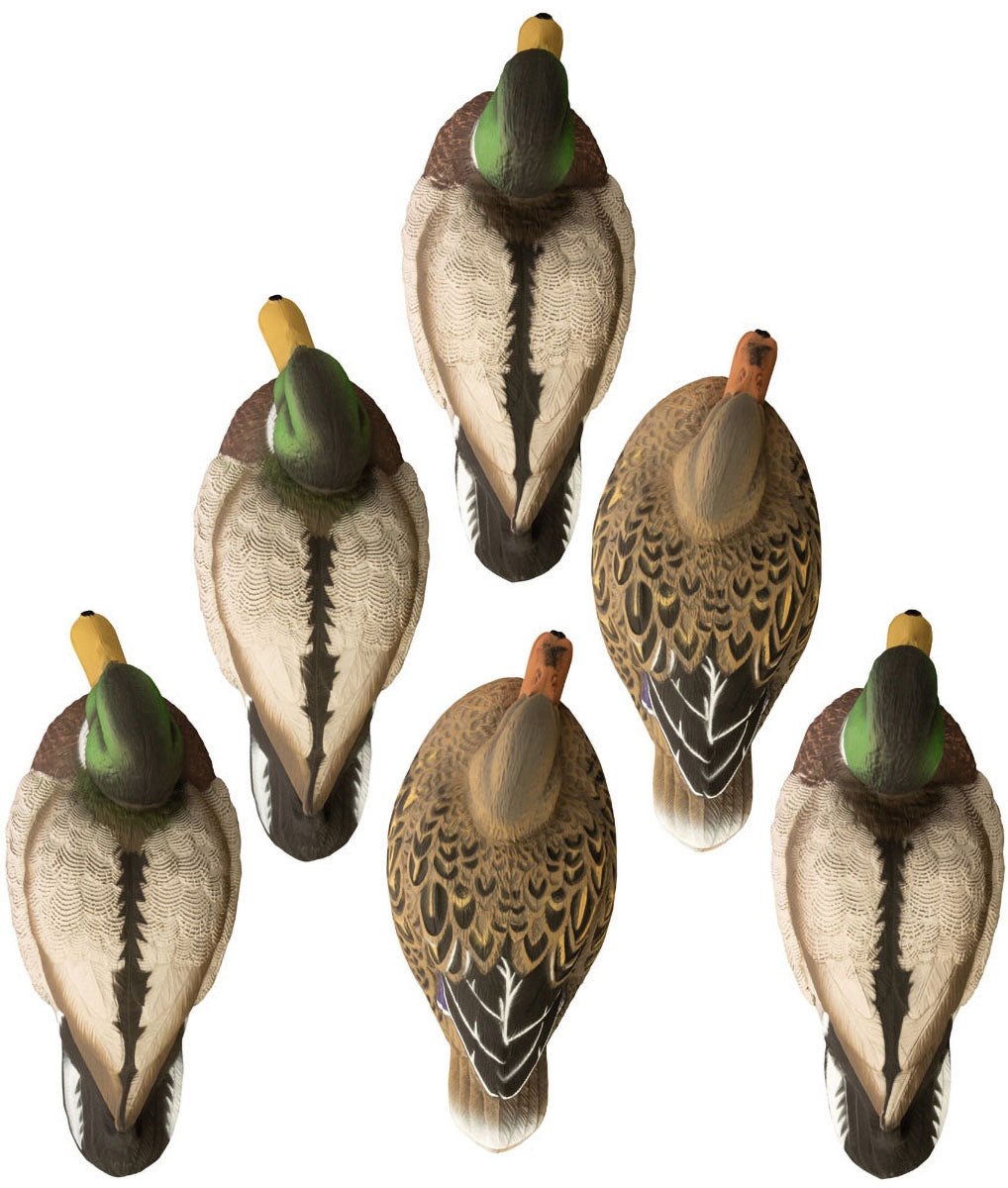 Standard Mallard Decoy