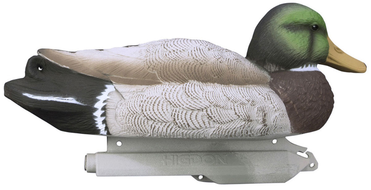 Standard Mallard Decoy