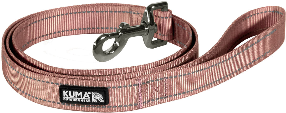 Lazy Bear Dog Leash