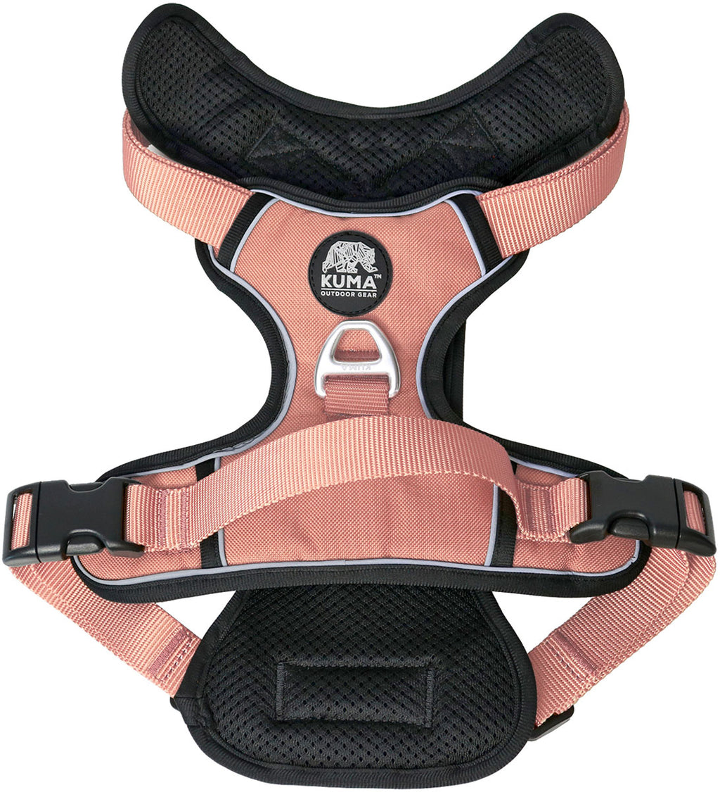 Lazy Bear Dog Harness